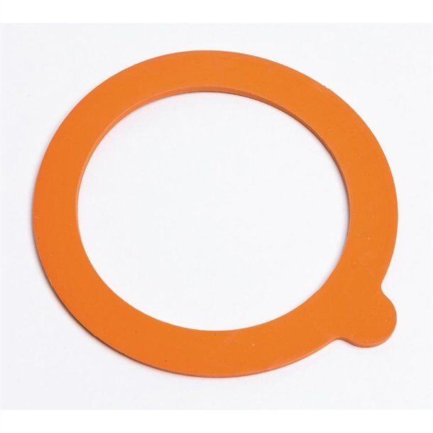 Large Replacement Seals